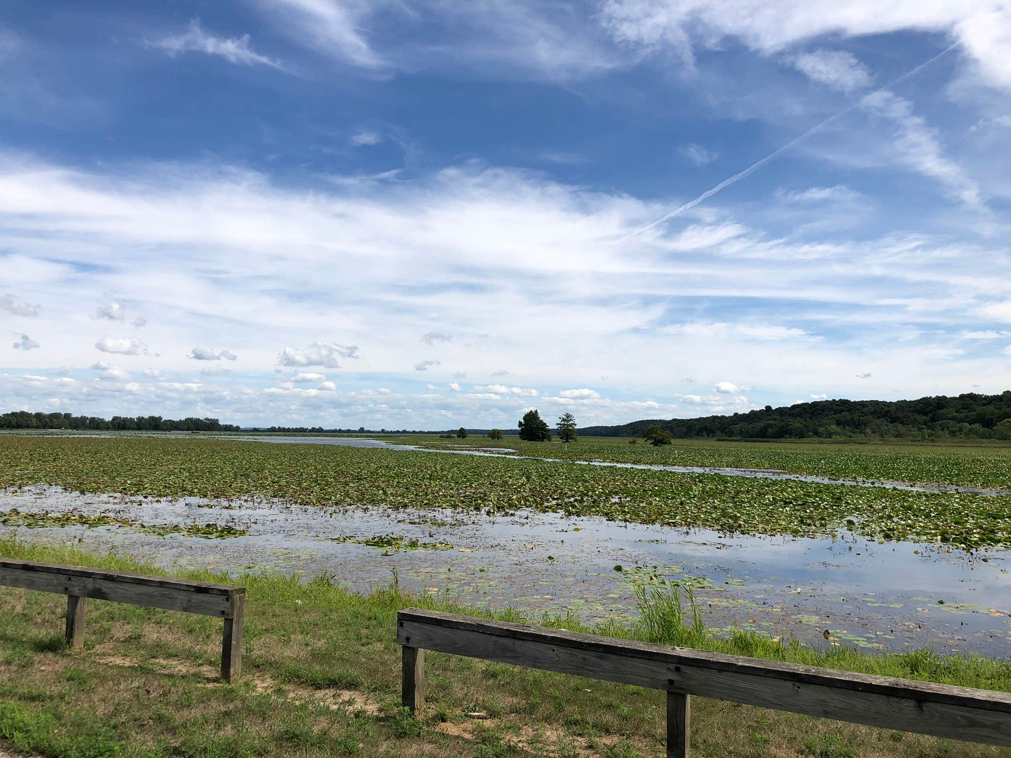 Camper submitted image from Spring Lake State Fish and Wildlife Area - 5