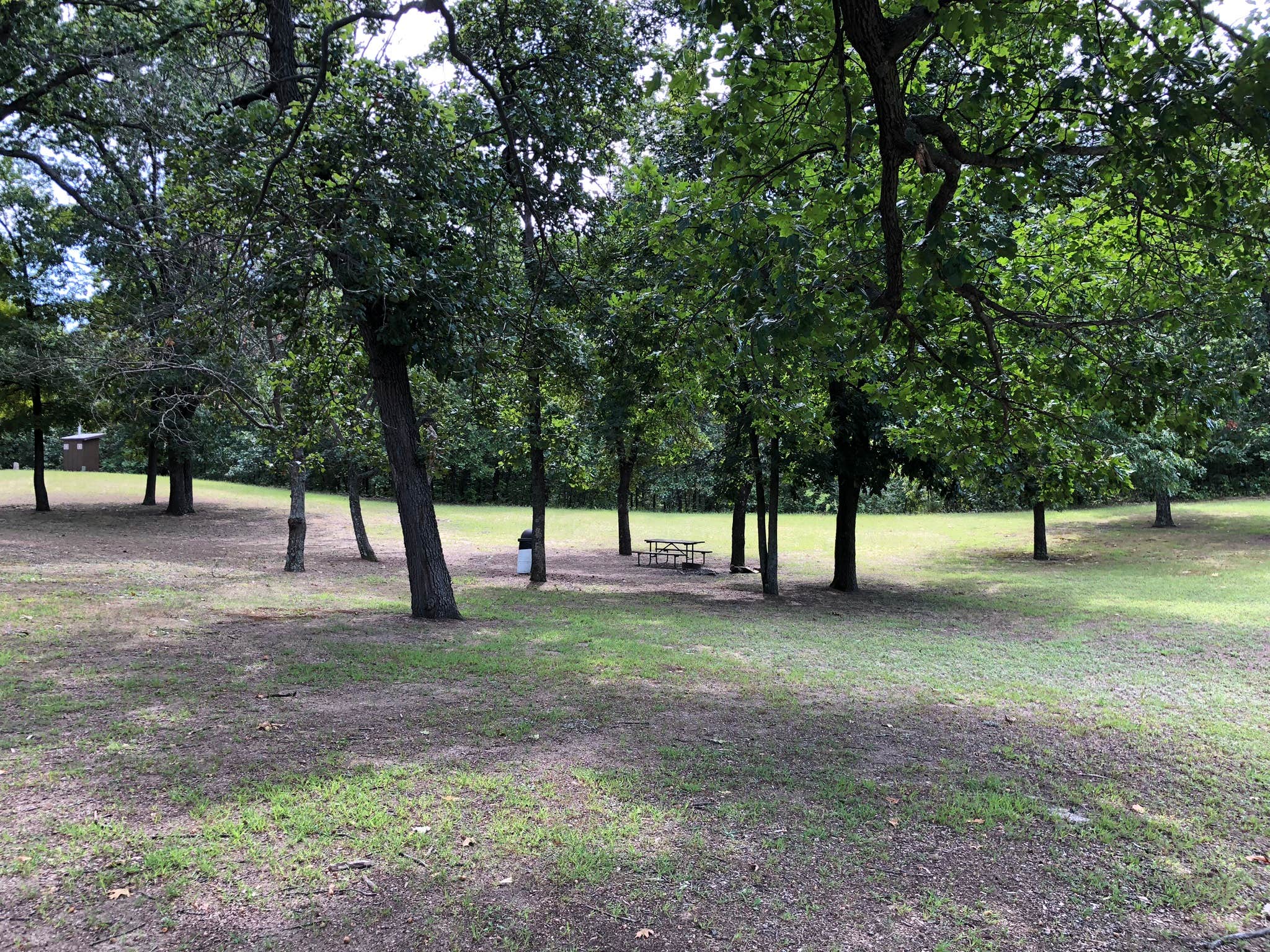 Camper-submitted photo at Spring Lake State Fish and Wildlife Area near Bartonville, IL
