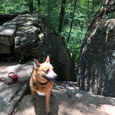 Review photo of Shawnee National Forest Red Bud Campground by Art S., February 4, 2020