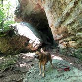 Review photo of Redbud Campground at Bell Smith Springs by Art S., February 4, 2020