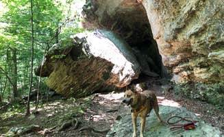 Art S.'s photo of camping with pets at Redbud Campground at Bell Smith Springs near Herod, IL