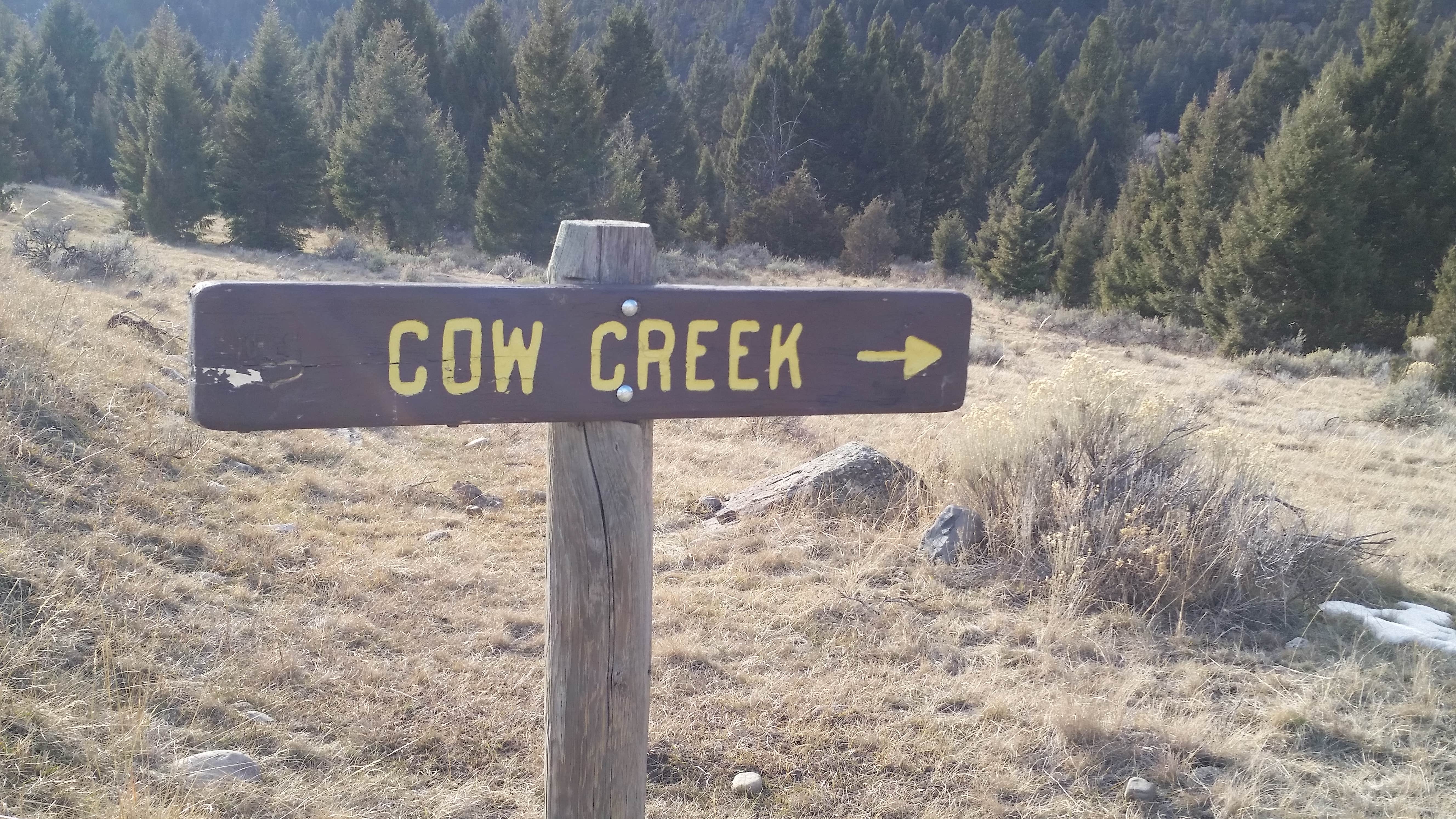 Camper-submitted photo at Cow Creek Dispersed Camping Area near Ennis, MT