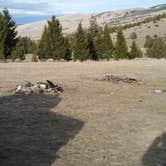 Review photo of Cow Creek Dispersed Camping Area by Dexter I., February 4, 2020