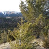 Review photo of Cow Creek Dispersed Camping Area by Dexter I., February 4, 2020