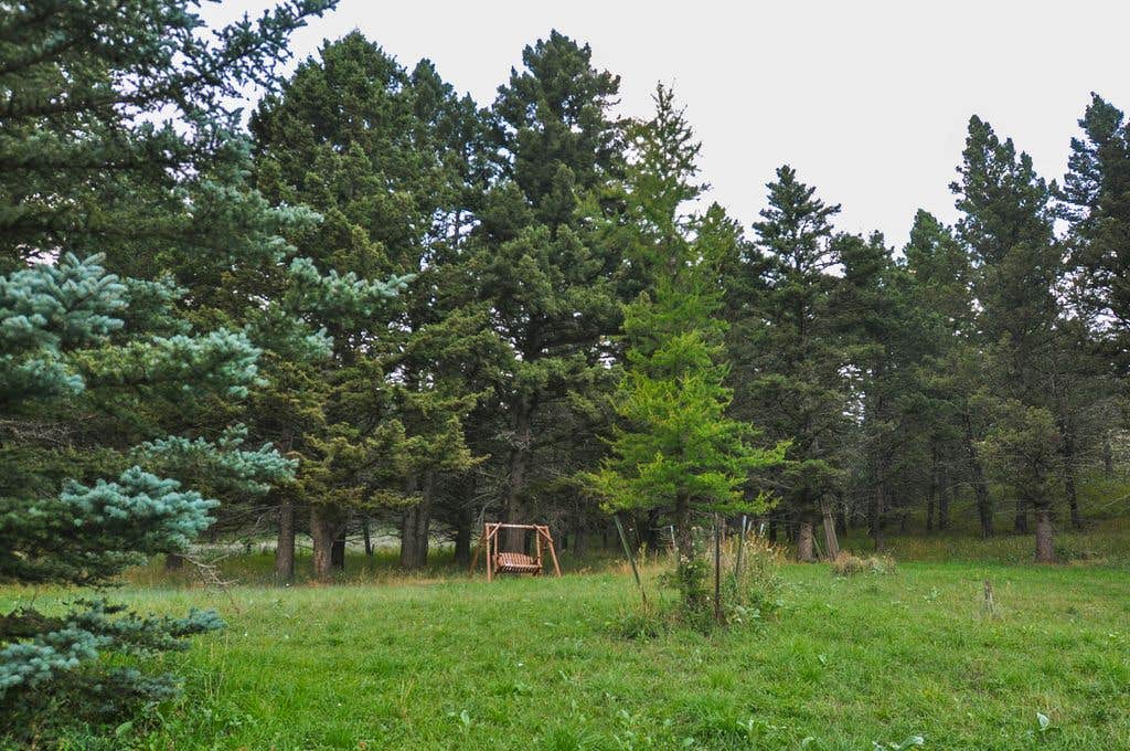 Camper-submitted photo at Mountain Log Home near Wilsall, MT