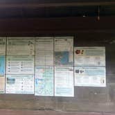 Review photo of Coho Campground by Elliott B., August 30, 2017