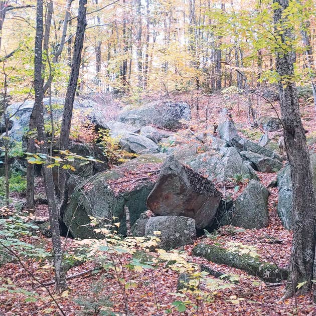 Lost Boys Hideout Camping Weare, NH