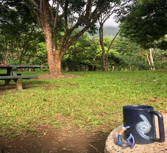 Camper-submitted photo from Ho’omaluhia Botanical Garden 