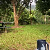 Review photo of Ho’omaluhia Botanical Garden by Mike L., February 4, 2020