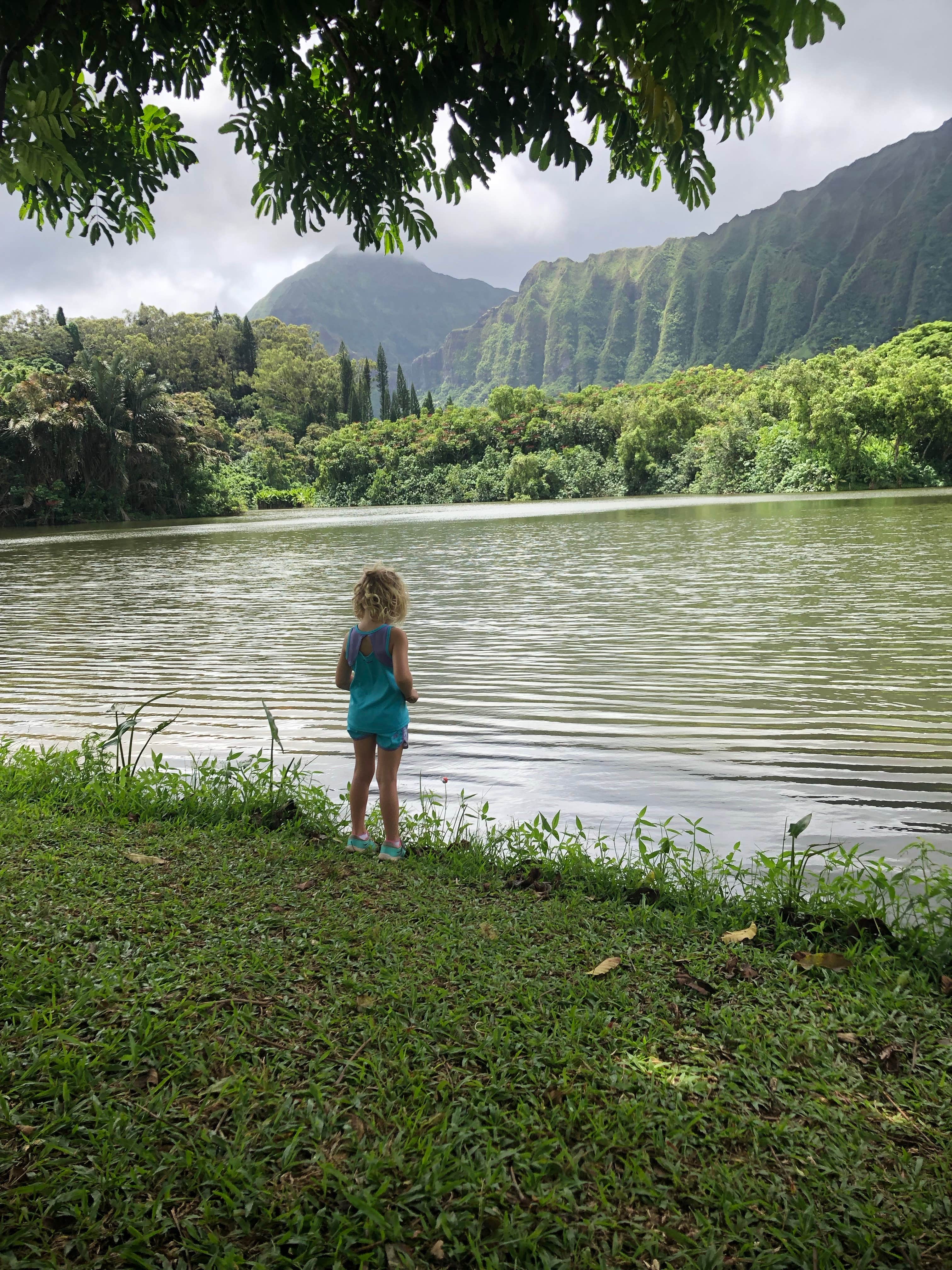 Camper submitted image from Ho’omaluhia Botanical Garden - 2