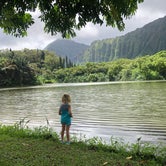 Review photo of Ho’omaluhia Botanical Garden  by Mike L., February 4, 2020