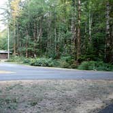Review photo of Coho Campground by Elliott B., August 30, 2017