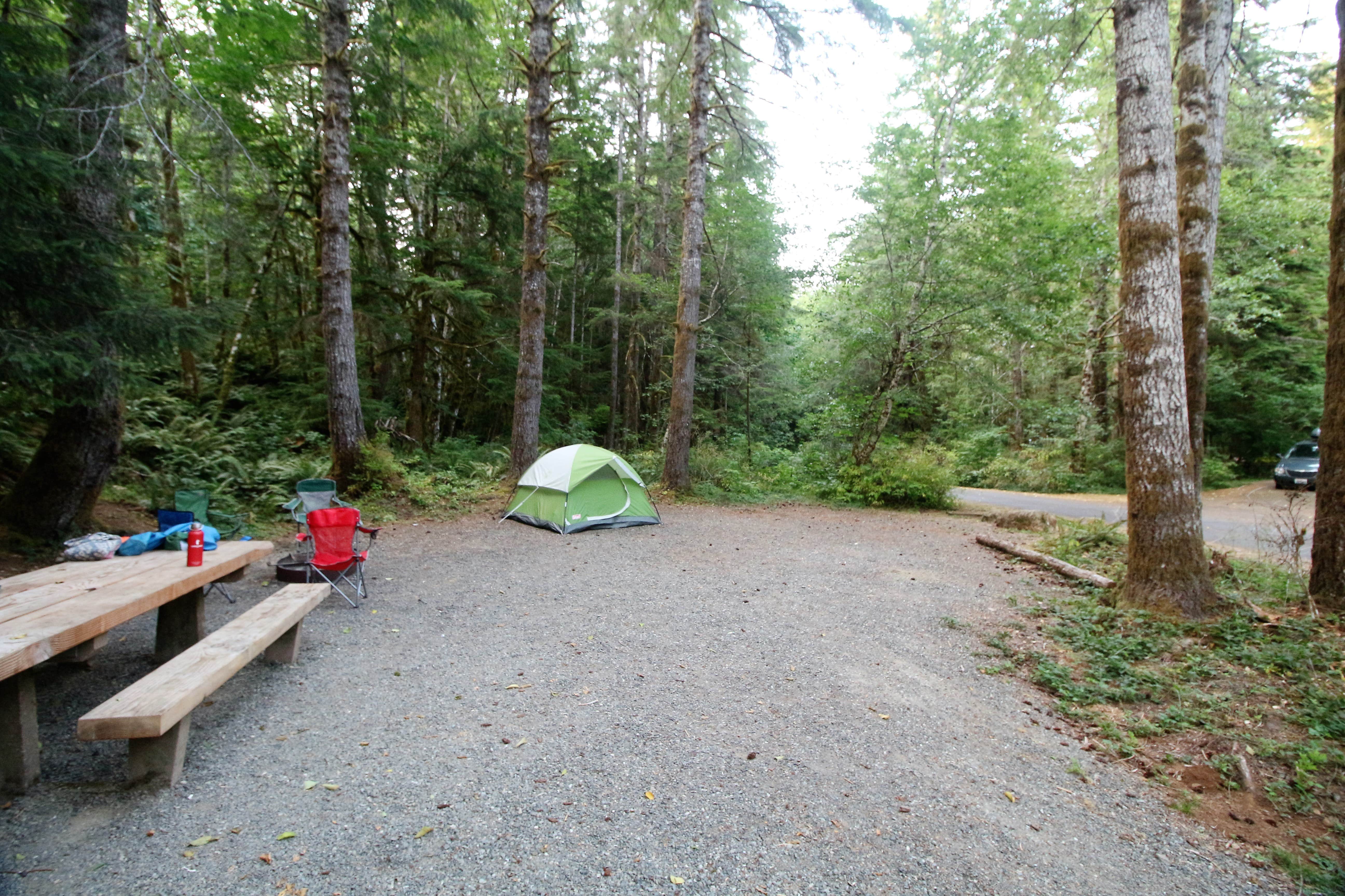 Elliott B.'s photo at Coho Campground near Amanda Park, WA