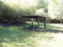 Camper-submitted photo at Peacock Flats - Mokuleia Forest Reserve near Waipio, HI