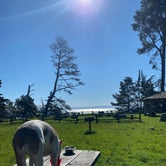 Review photo of New Brighton State Beach Campground by Shanelle W., February 5, 2020