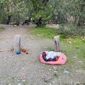 Review photo of Pfeiffer Big Sur State Park Campground by Shanelle W., February 5, 2020
