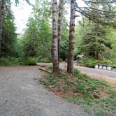 Review photo of Coho Campground by Elliott B., August 30, 2017