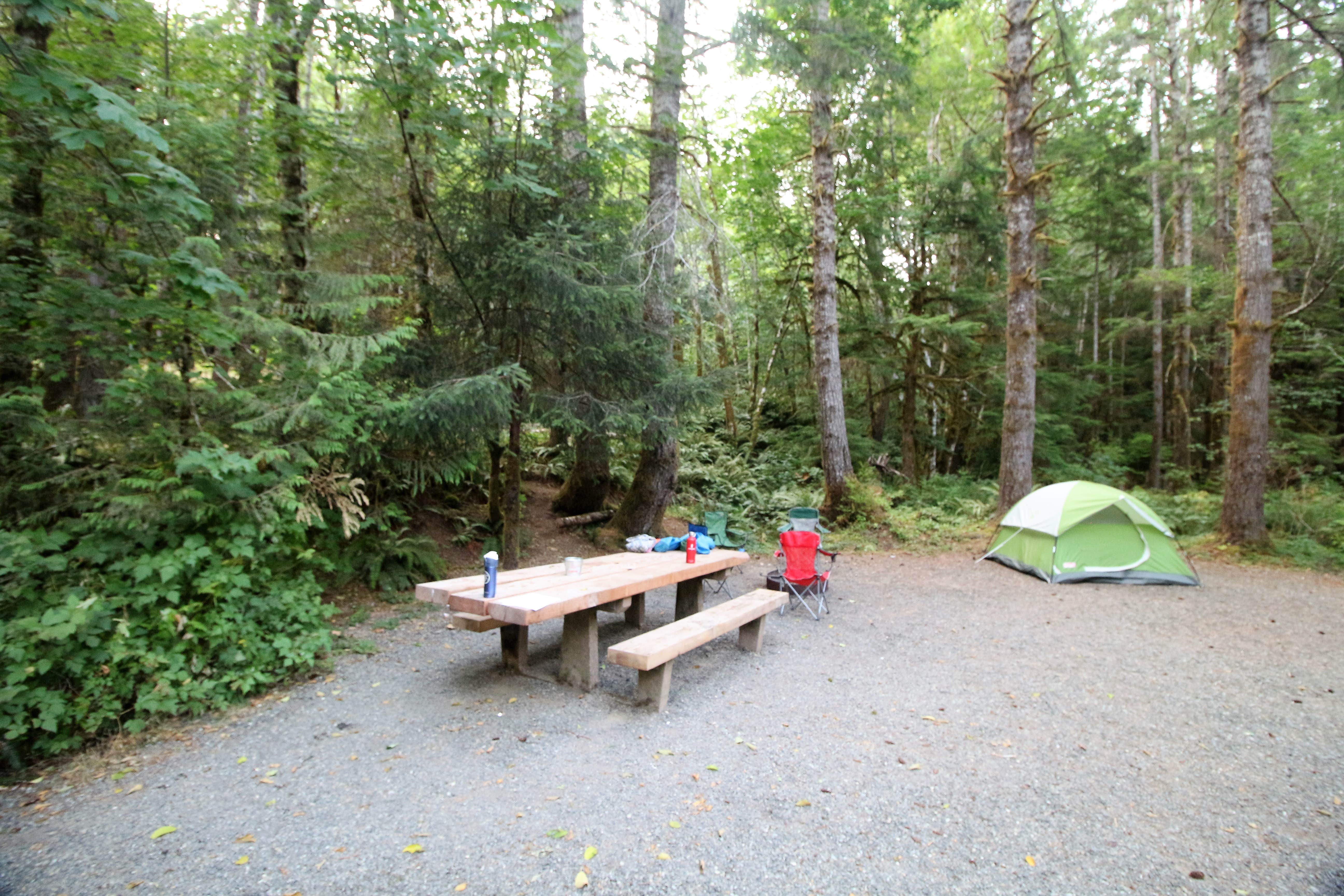 Elliott B.'s photo at Coho Campground near Amanda Park, WA