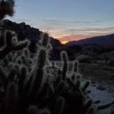 Review photo of Culp Valley Primitive Campground — Anza-Borrego Desert State Park by Lydia H., February 5, 2020