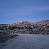 Review photo of Culp Valley Primitive Campground — Anza-Borrego Desert State Park by Lydia H., February 5, 2020