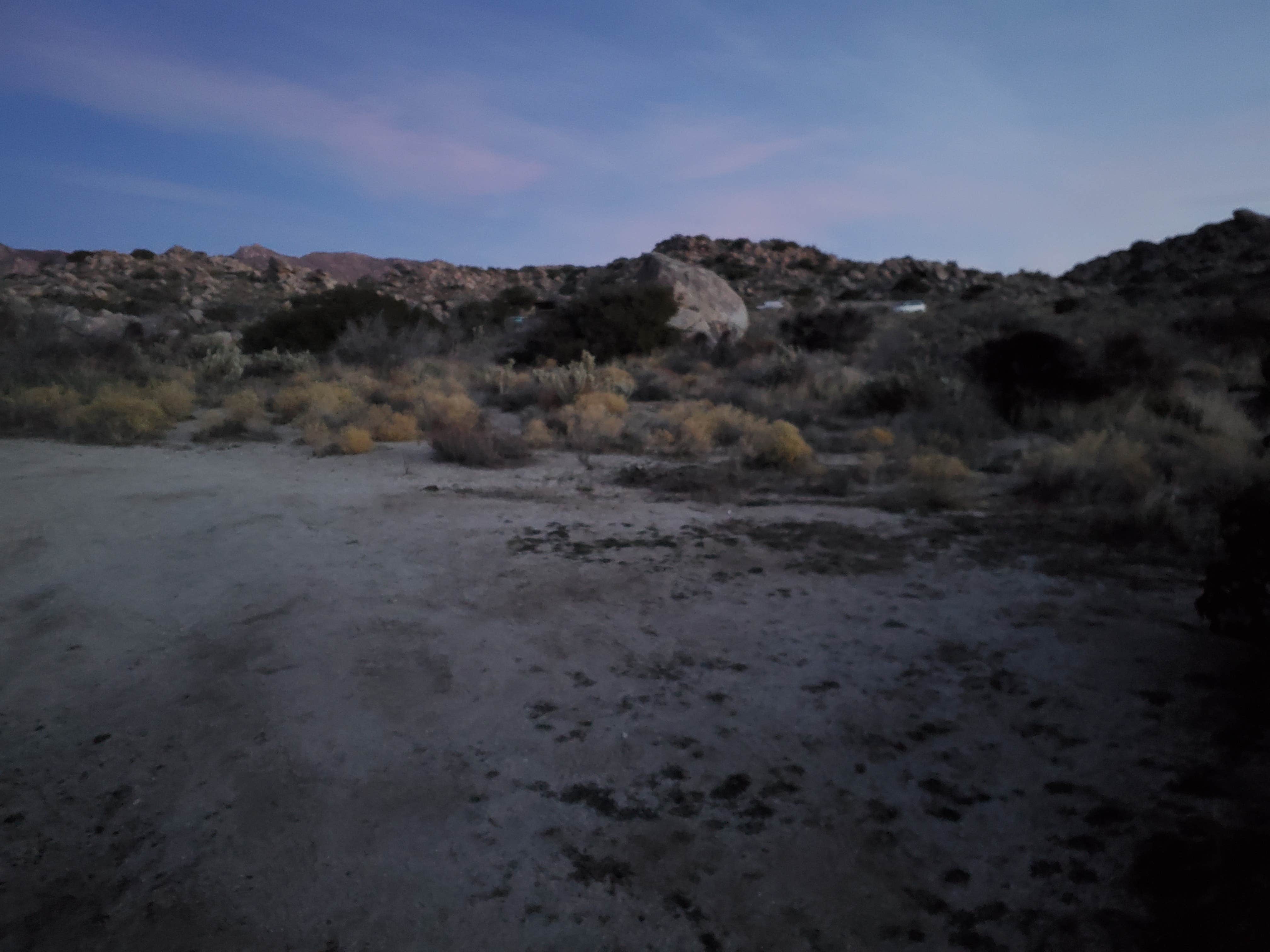 Camper-submitted photo at Culp Valley Primitive Campground — Anza-Borrego Desert State Park near San Ysidro, CA