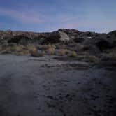 Review photo of Culp Valley Primitive Campground — Anza-Borrego Desert State Park by Lydia H., February 5, 2020