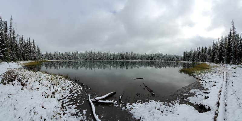 Camper submitted image from Scott Lake Campground