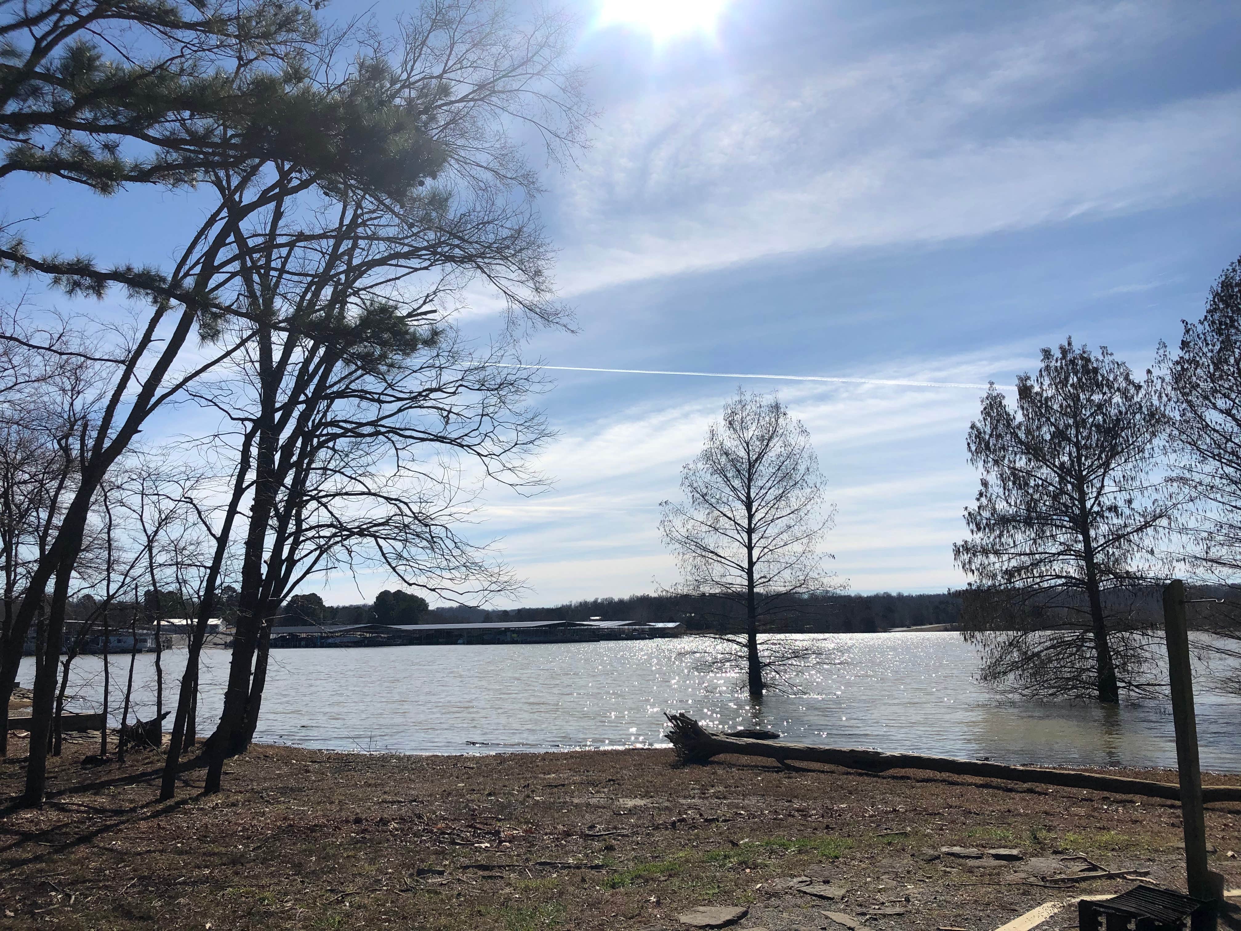 Camper submitted image from Hickory Creek - Beaver Lake - 2