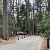 Review photo of Castle Crags State Park Campground by Shanelle W., February 5, 2020