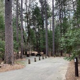 Review photo of Castle Crags State Park Campground by Shanelle W., February 5, 2020