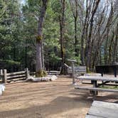 Review photo of Castle Crags State Park Campground by Shanelle W., February 5, 2020