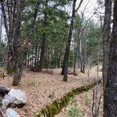 Review photo of Castle Crags State Park Campground by Shanelle W., February 5, 2020