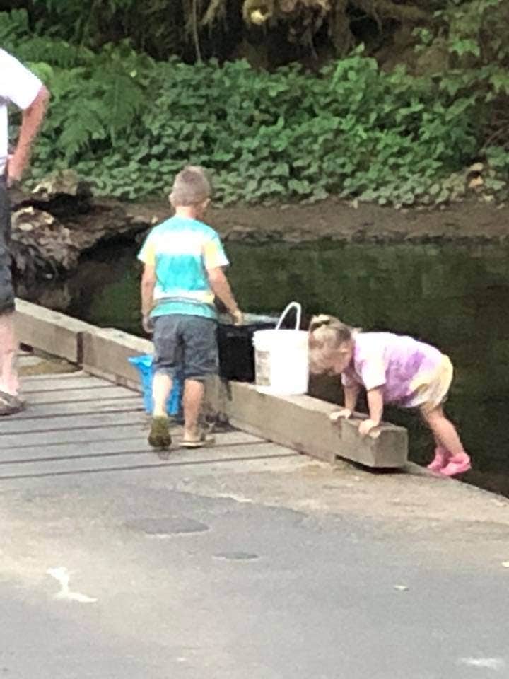 Bridge crossing the creek