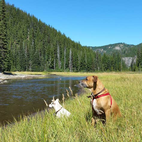 Soda Creek Campground Camping | The Dyrt