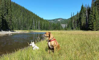 Andrea R.'s photo of camping with pets at Soda Creek Campground near Deschutes & Ochoco National Forests & Crooked River National Grassland
