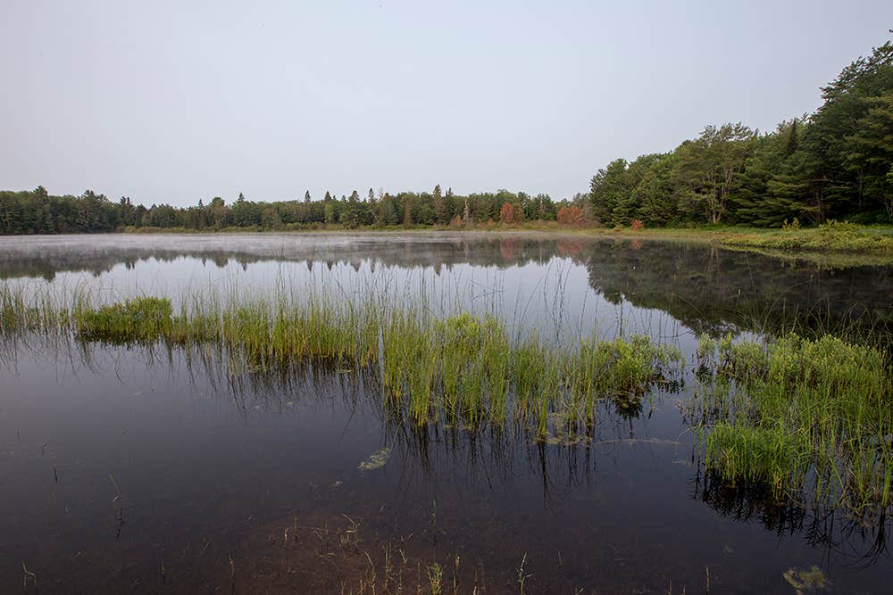 Camper submitted image from Otter Lake Campground & Lodge - 1