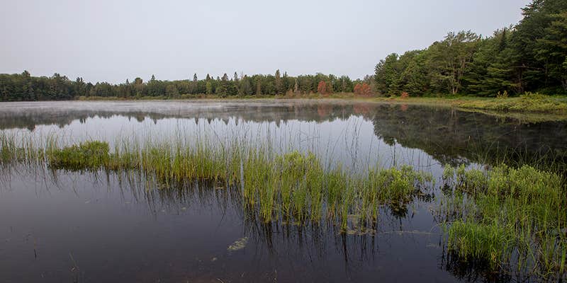 Camper submitted image from Otter Lake Campground & Lodge