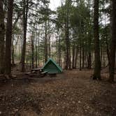 Review photo of Rippling Rivers RV Resort by Amie L., February 6, 2020