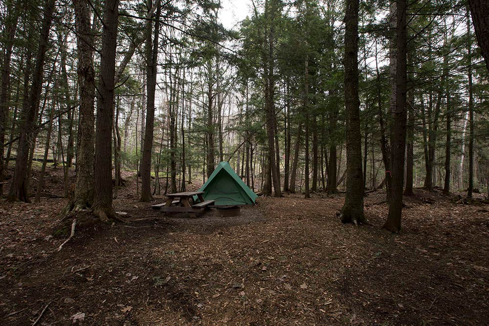 Site F