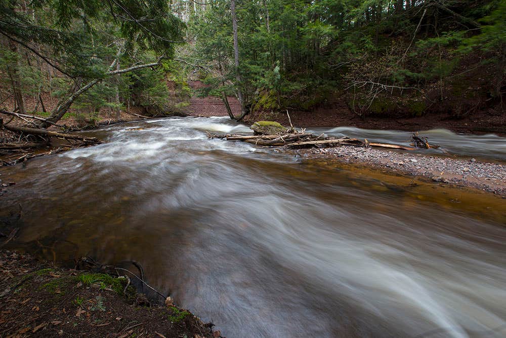 Carp River