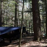 Review photo of Rippling Rivers RV Resort by Amie L., February 6, 2020