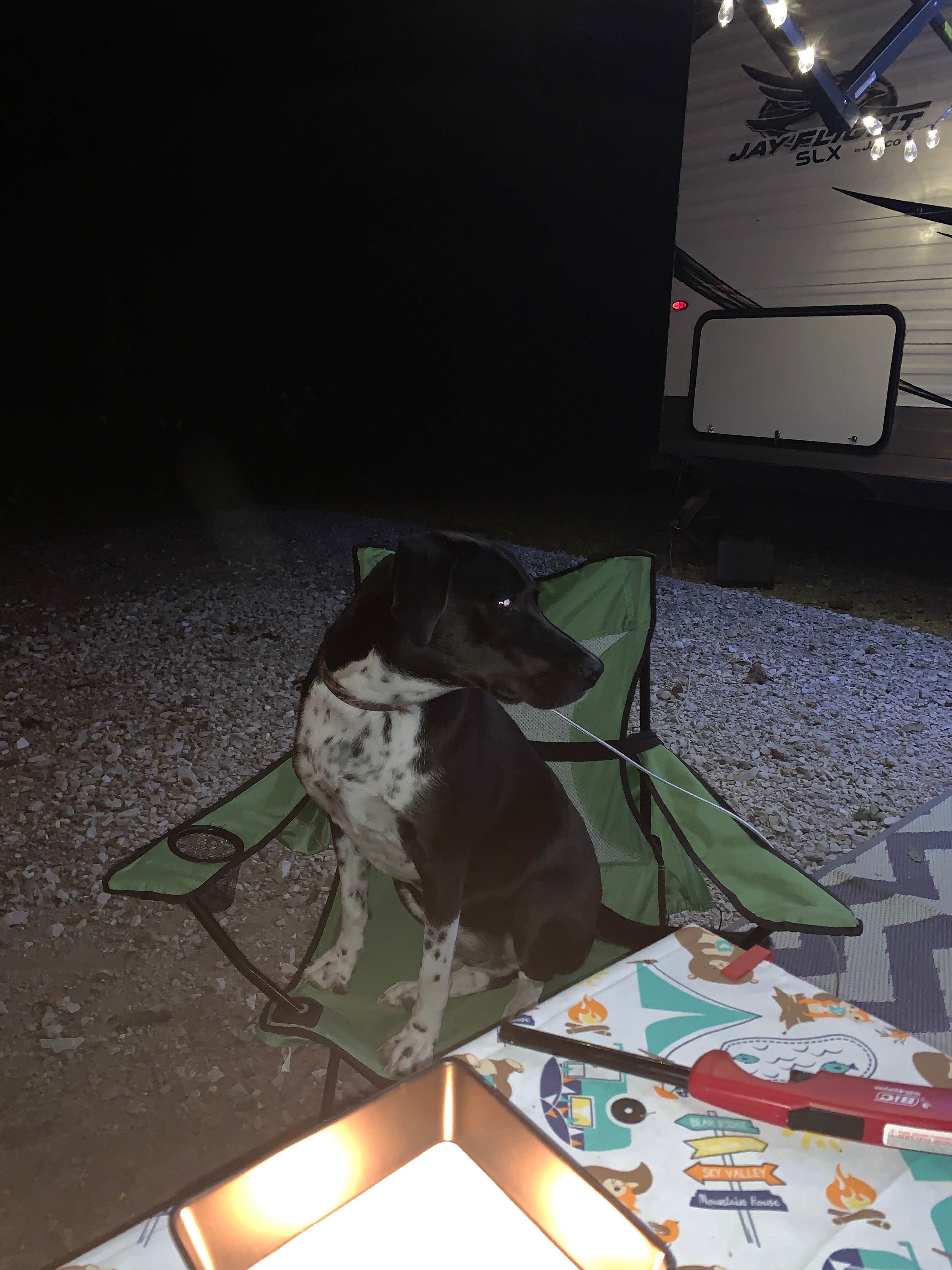 Douglas W.'s photo of camping with pets at Rockville Lake County Park near Marshall, IN