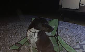 Douglas W.'s photo of camping with pets at Rockville Lake County Park near Waveland, IN