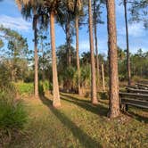 Review photo of Little Manatee River State Park Campground by Ronald H., February 6, 2020