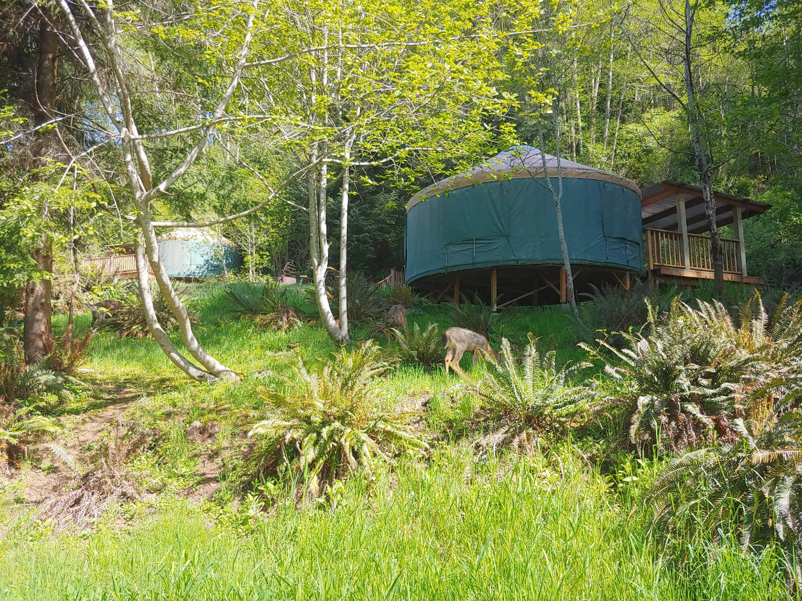 Camper-submitted photo at Skamokawa Vista Park near Astoria, OR
