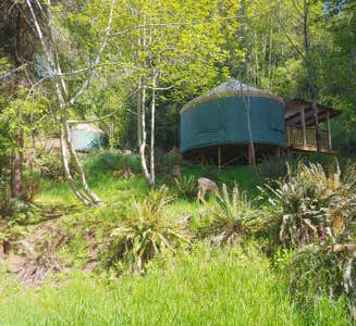 Camper-submitted photo from Skamokawa Vista Park