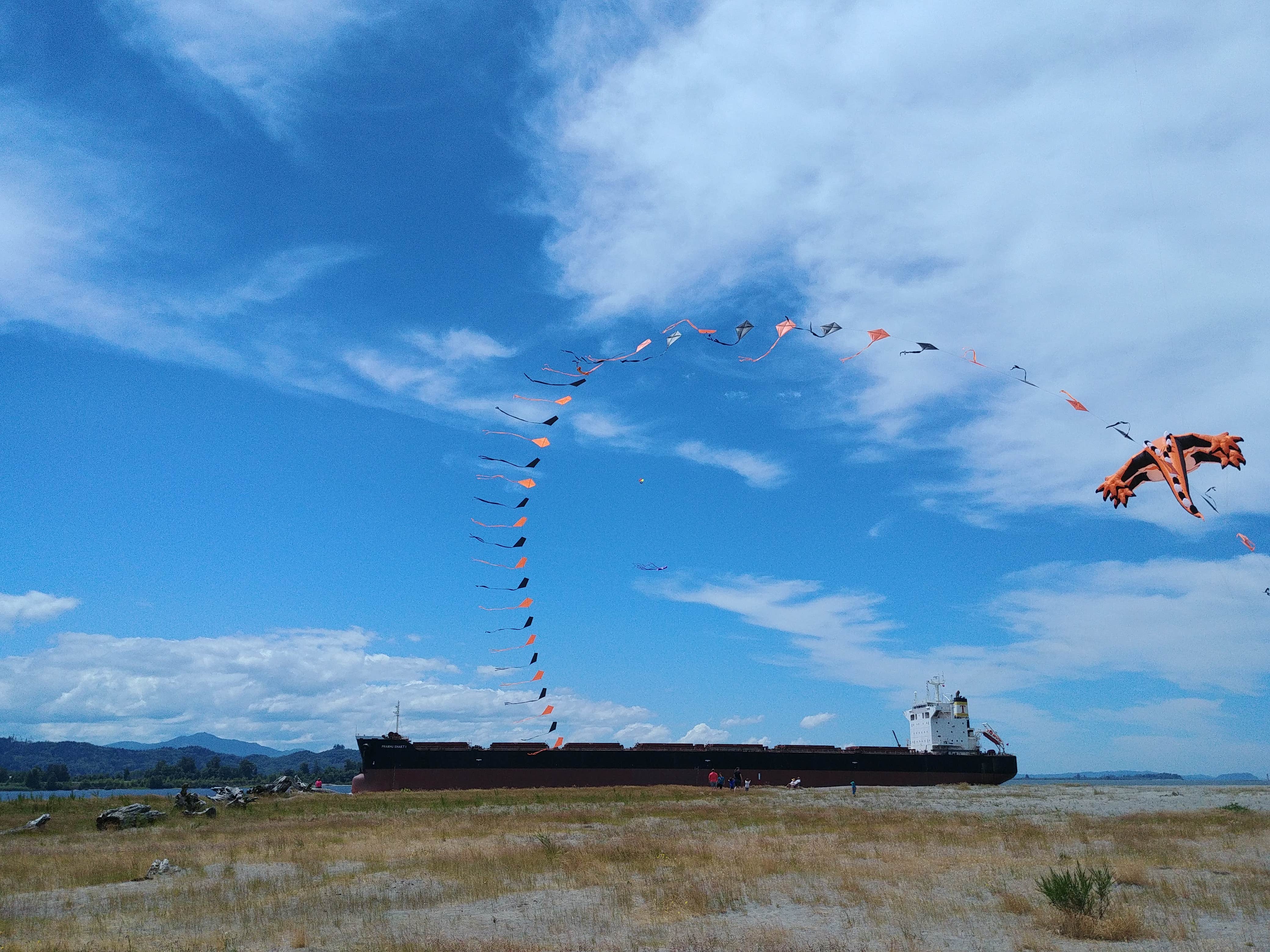 Camping near Nicholi Mountain: Skamokawa Vista Park, Cathlamet, Washington