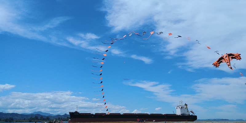 Camper submitted image from Skamokawa Vista Park
