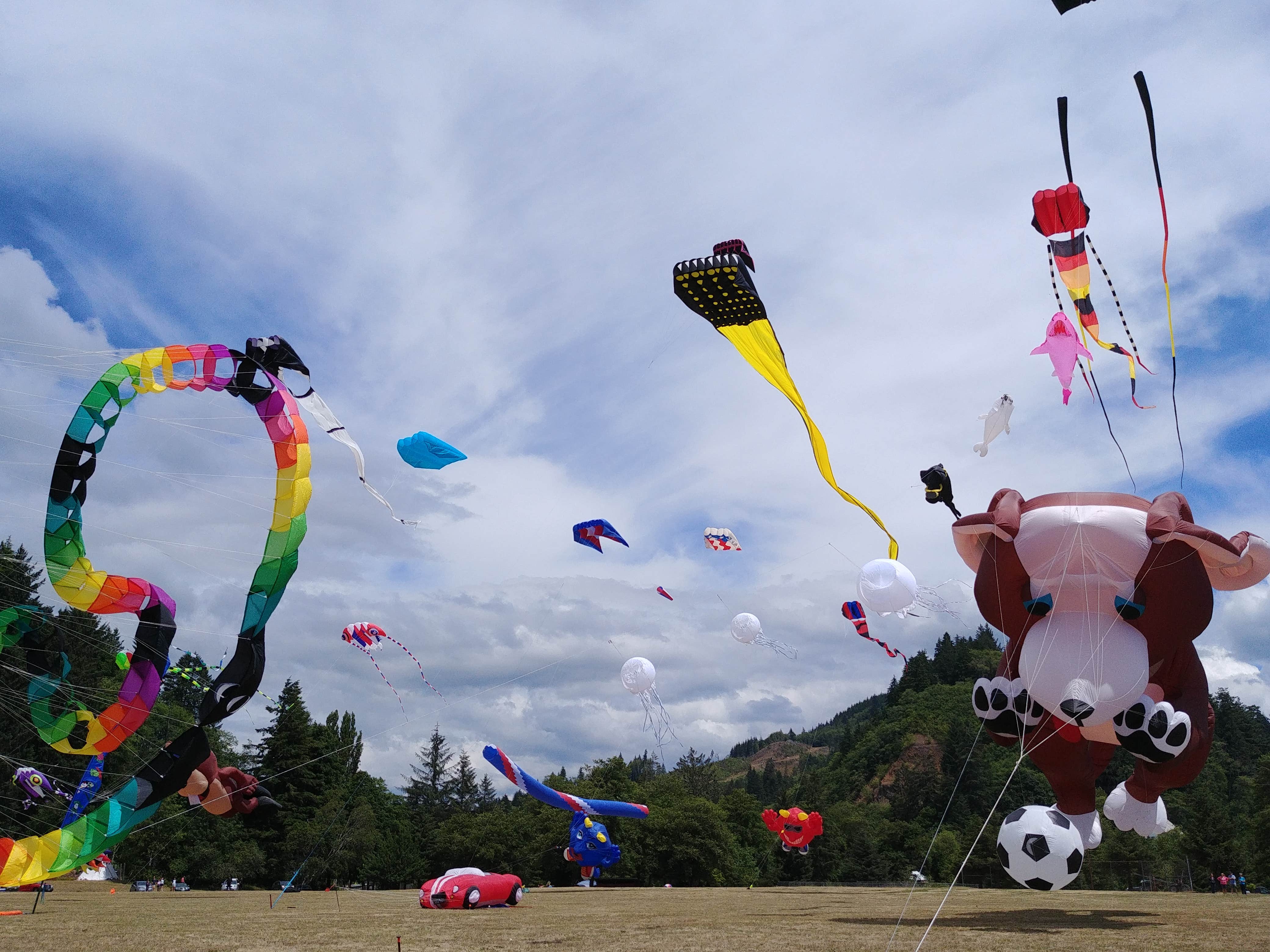 Camper-submitted photo at Skamokawa Vista Park near Astoria, OR
