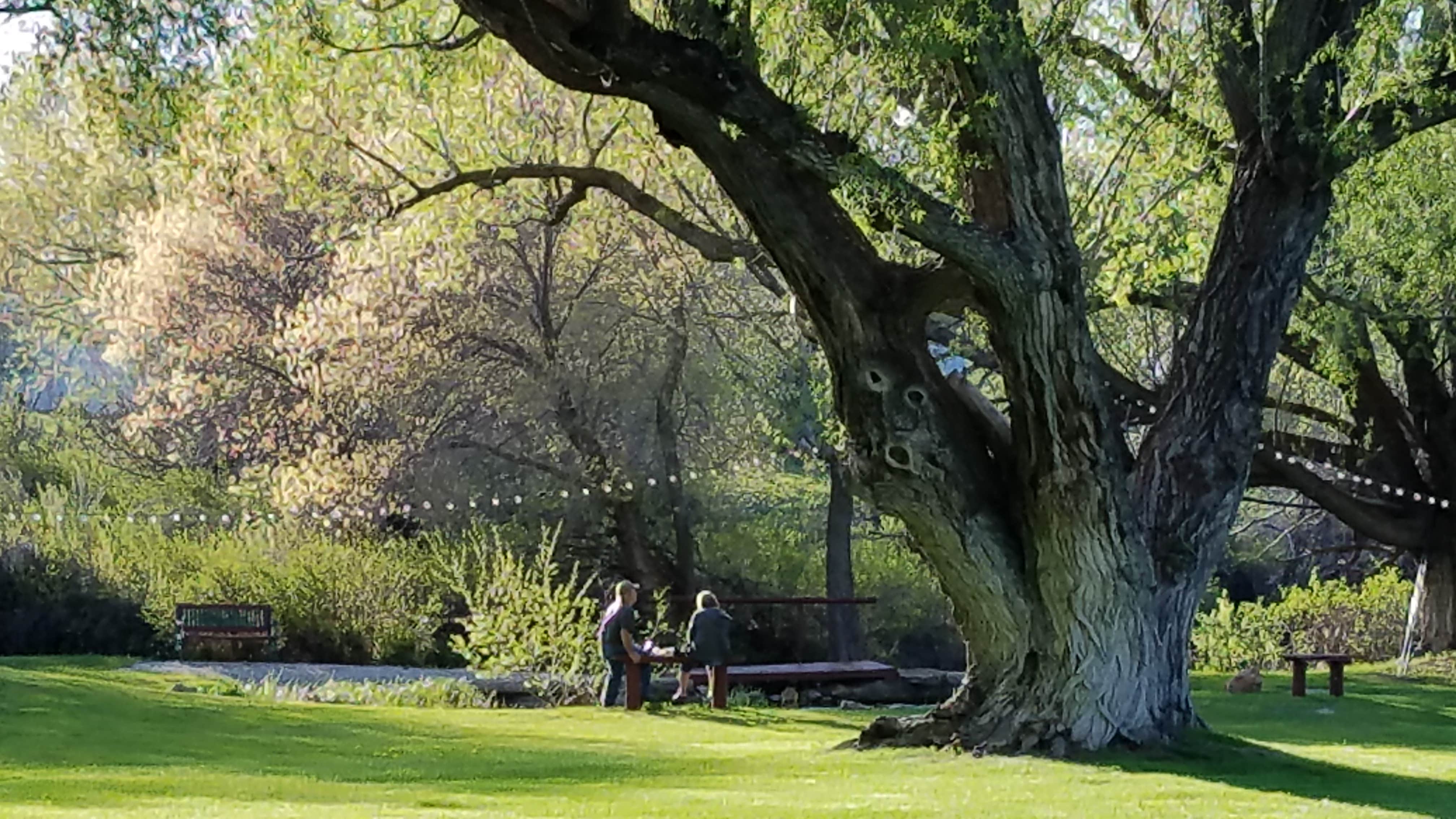 Camper-submitted photo at Welcome Station RV Park in Nevada